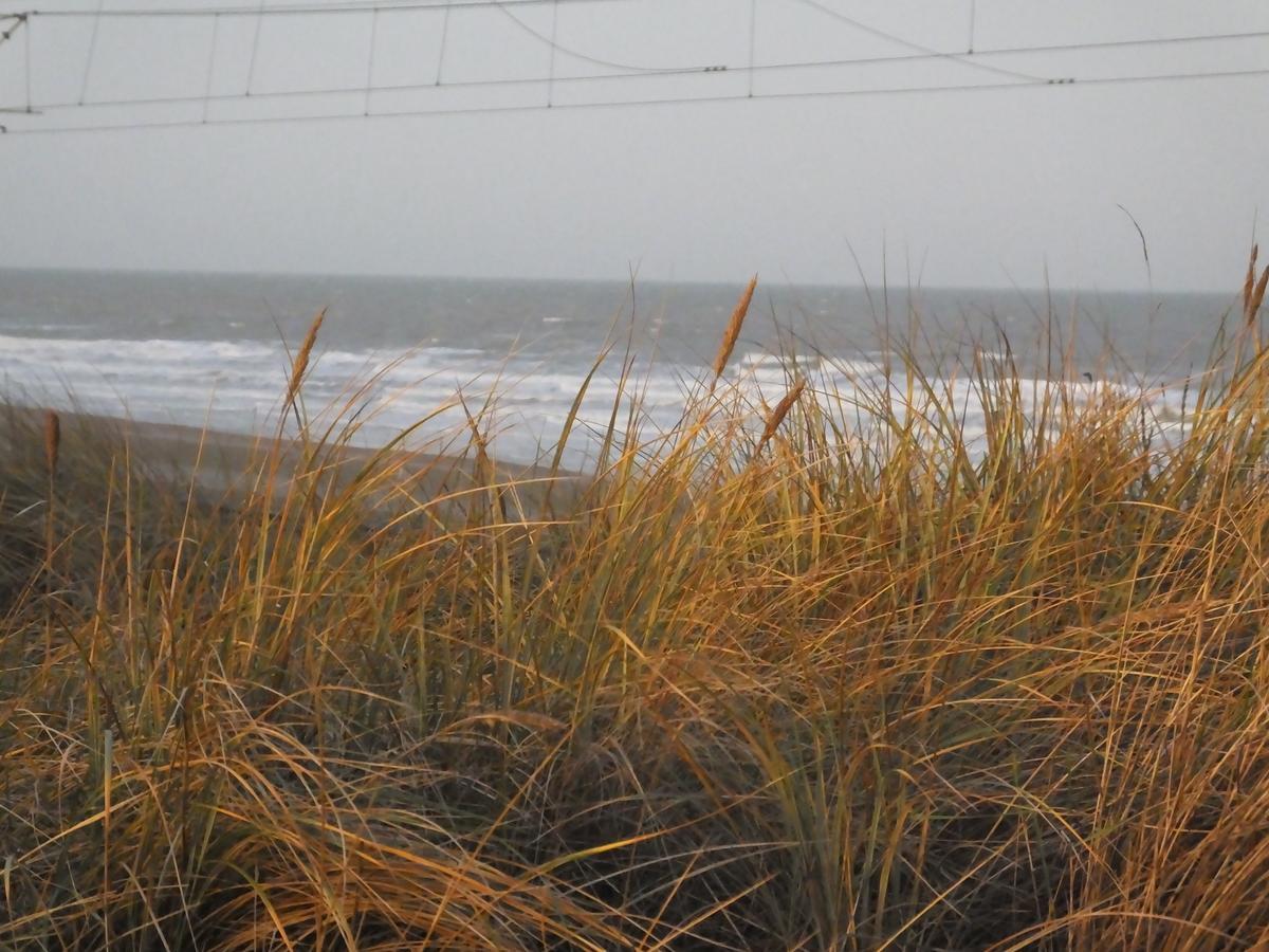 Sable D'O -Vlak Aan De Zee- Bed & Breakfast Mariakerke  Exterior photo